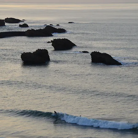 Victoria Surf 3*